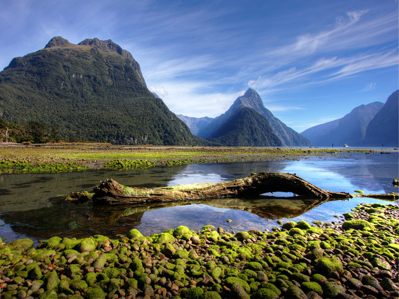 New Zealand