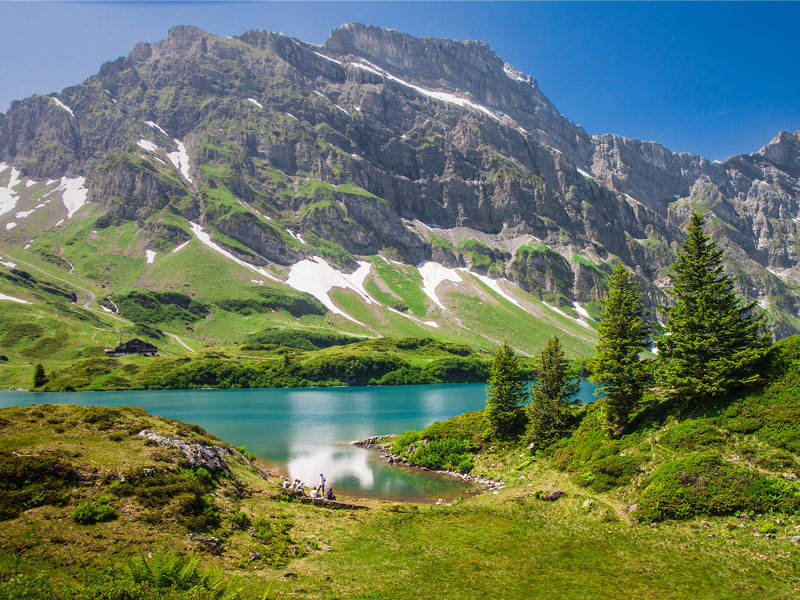 Swiss Alps