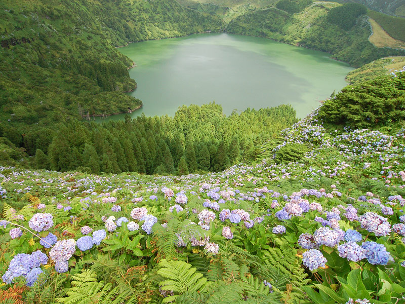 Flores Island, Azores