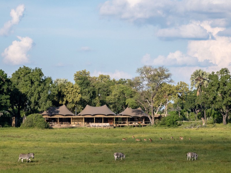 Mombo Camp - Moremi Game Reserve, Botswana