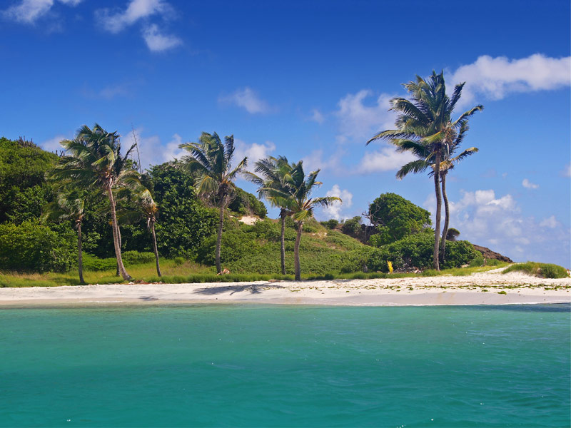 Petit Tabac,Tobago Cays