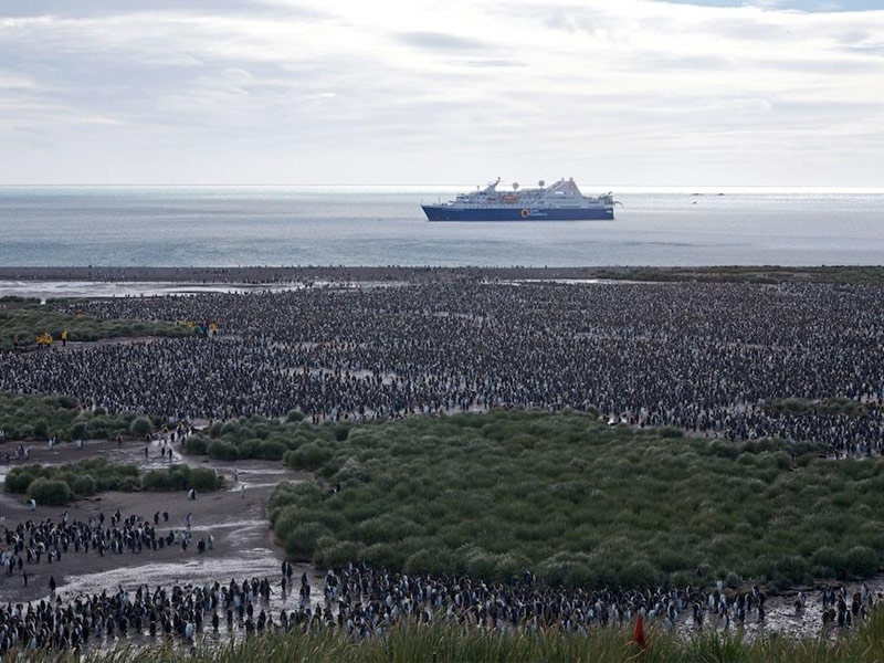 Quark Expeditions