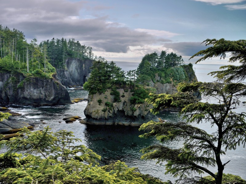 Cape Flattery Trail