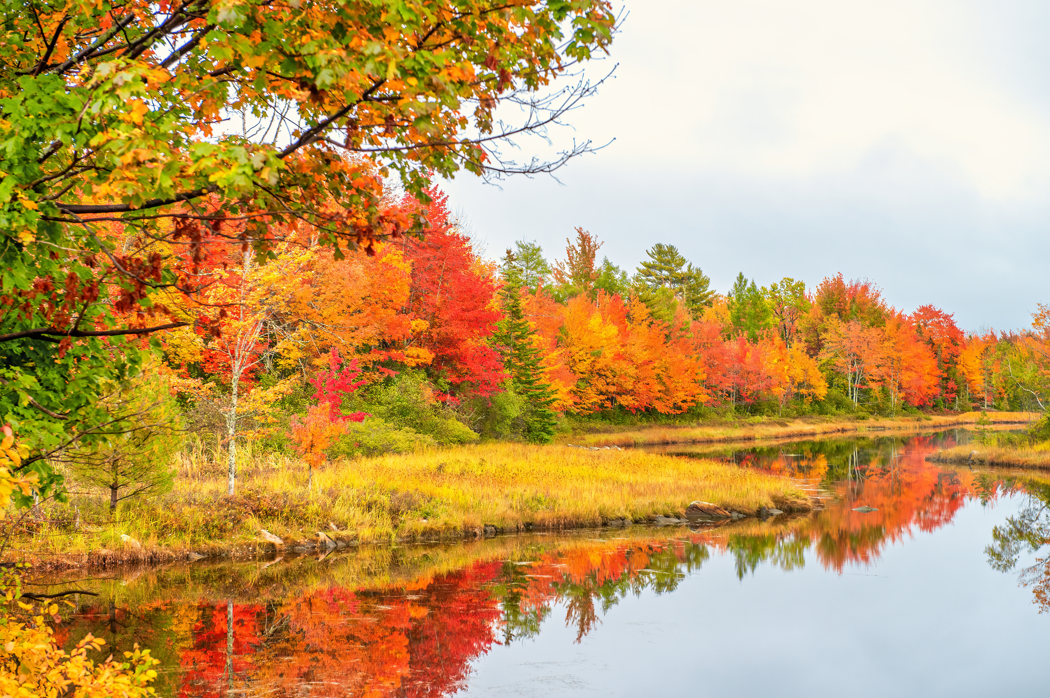 Jordan River in Bar Harbor, Maine