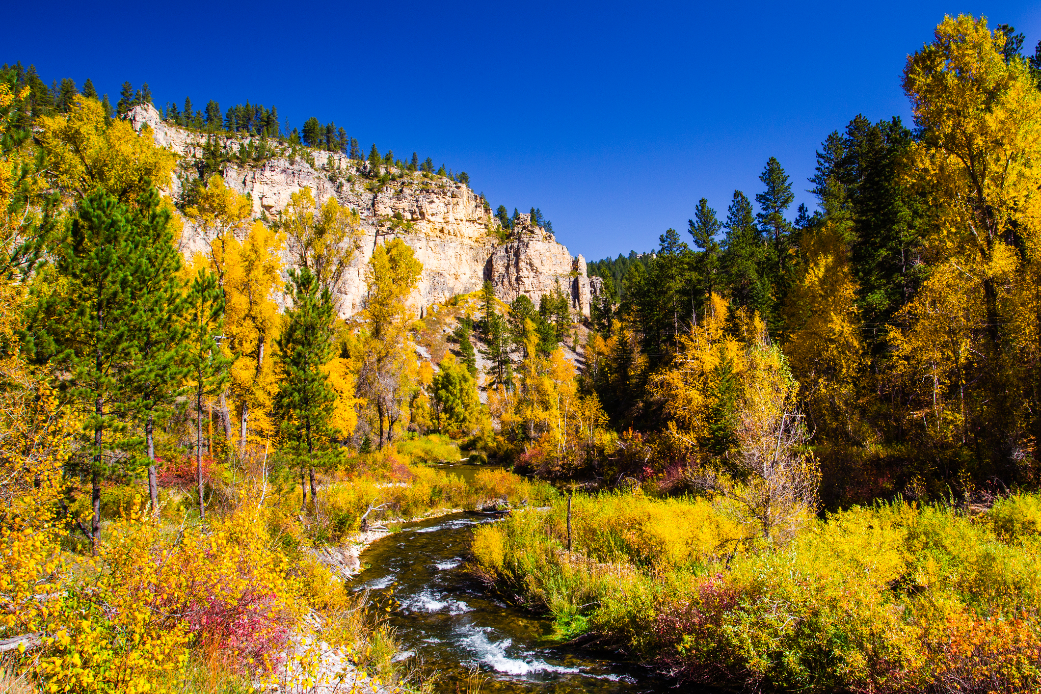 Spearfish Canyon 