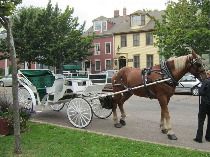 Charlottetown, Prince Edward