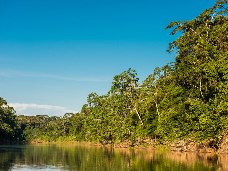 Explore the Amazon Jungle of Peru