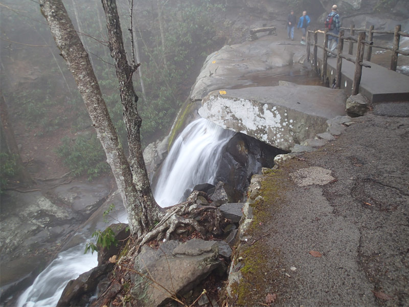 Laurel Falls