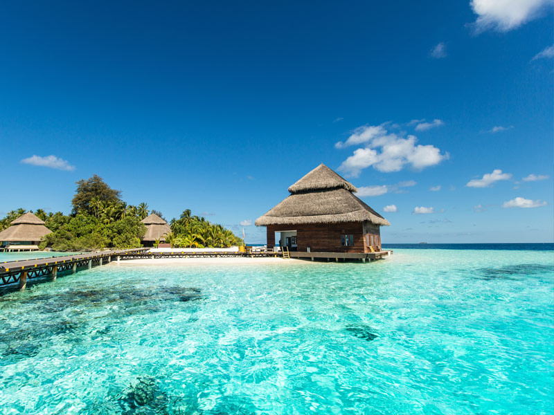 The Maldives