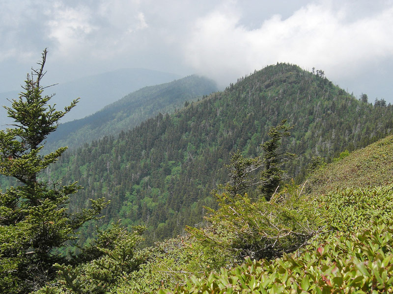 Mount LeConte