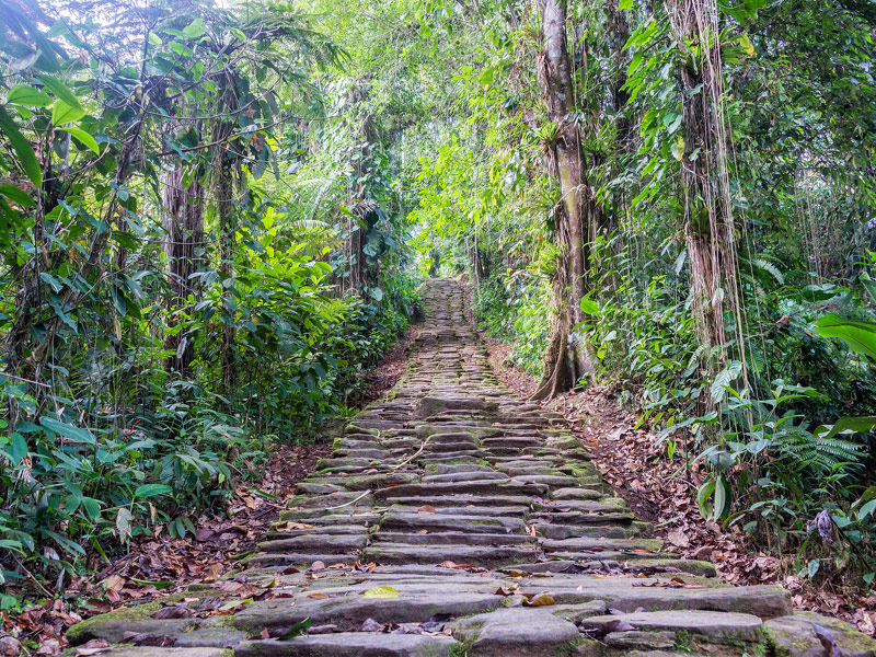 Trek to the Lost City of Colombia