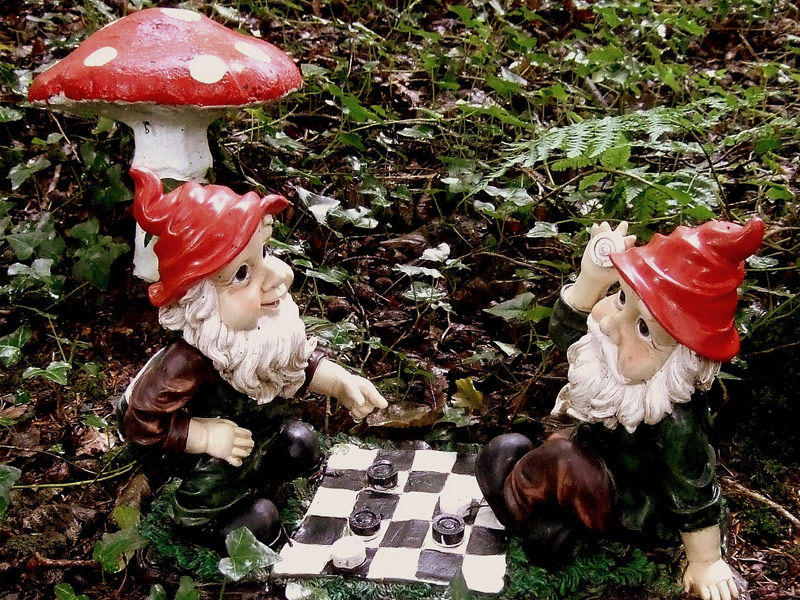 The Gnome Reserve