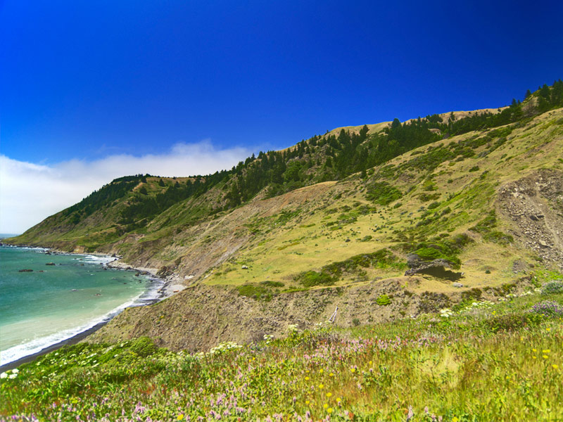 The Lost Coast