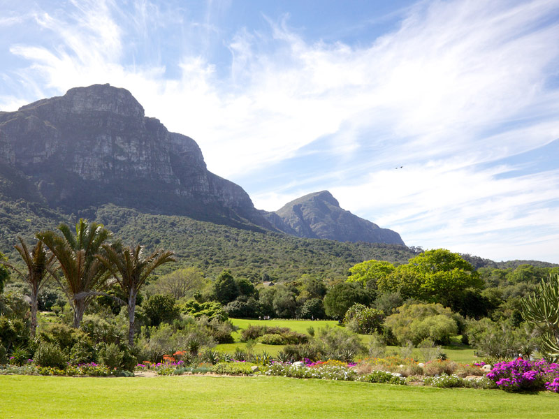 Kirstenbosch National Botanical Garden