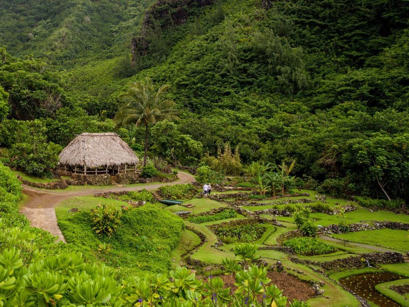 Limahuli Garden & Preserve