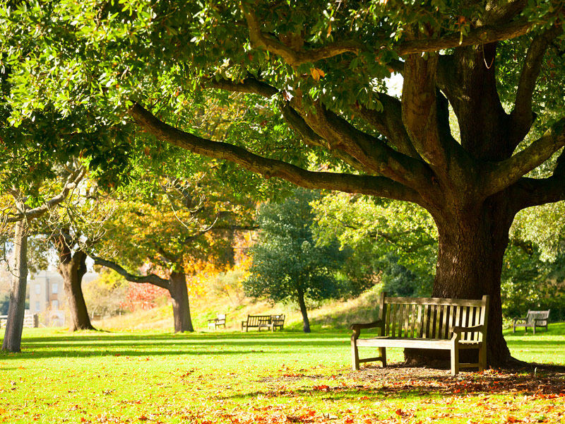 Royal Botanic Gardens at Kew