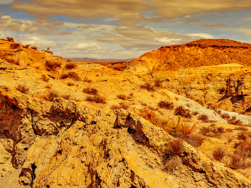 Tabernas Desert