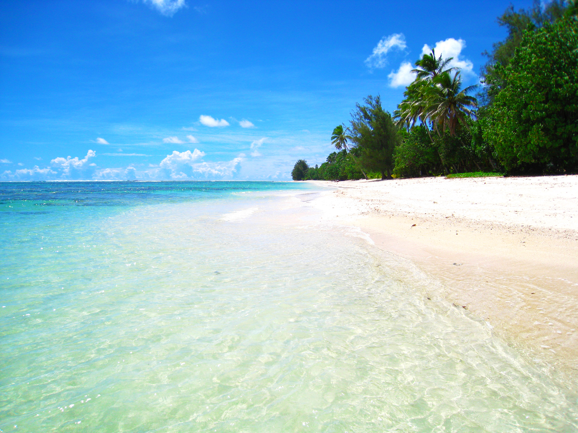 Rarotonga, in the Cook islands