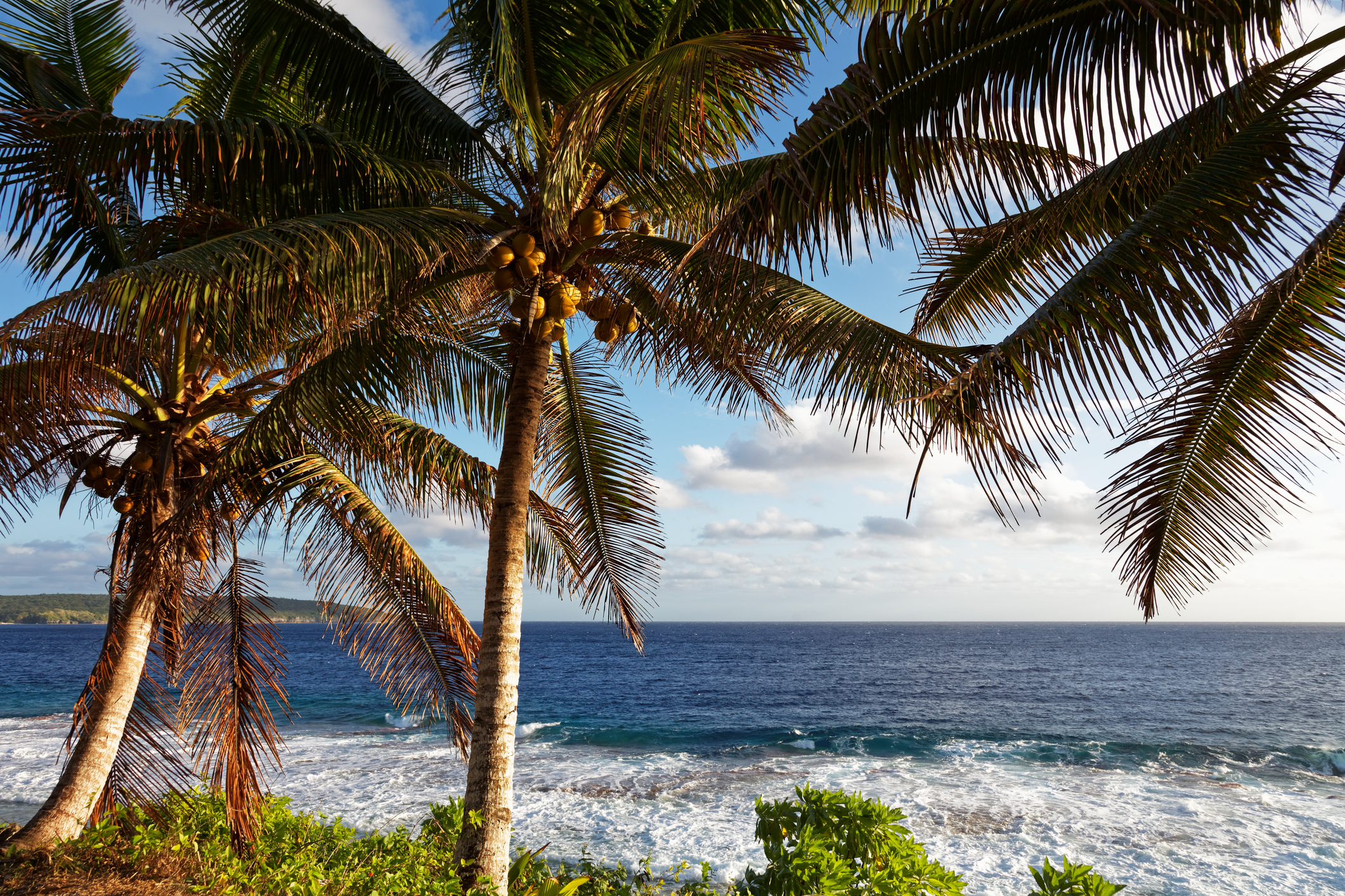 island of Niue