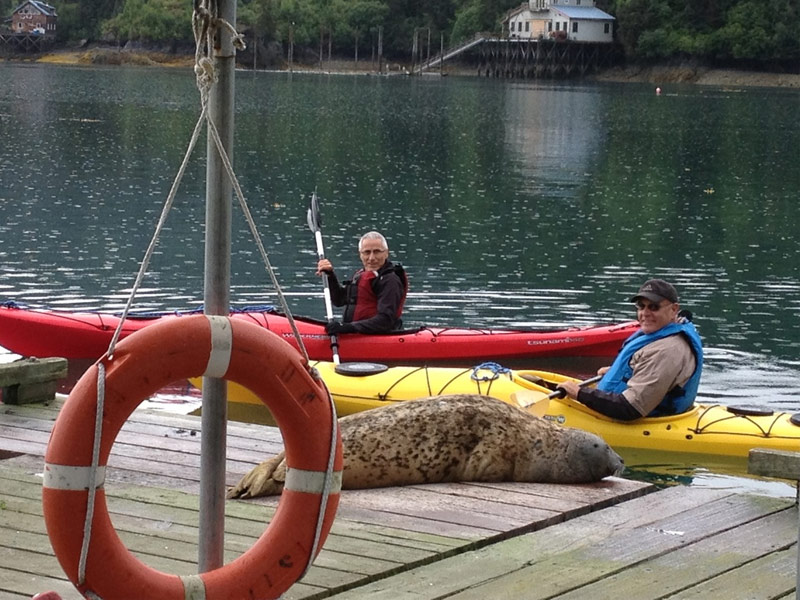 Stillpoint Lodge, Halibut Cove, Alaska