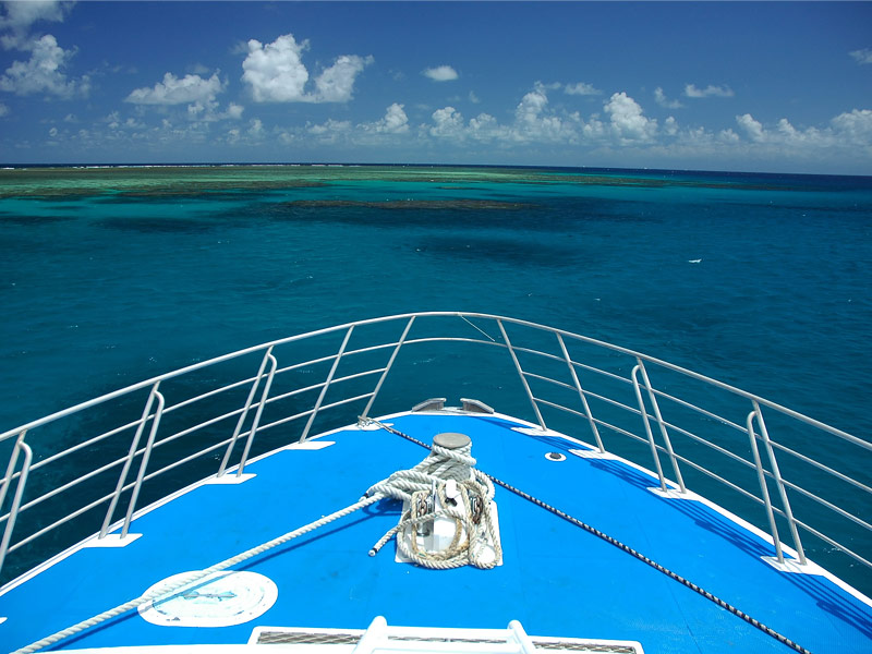 Great Barrier Reef Cruises