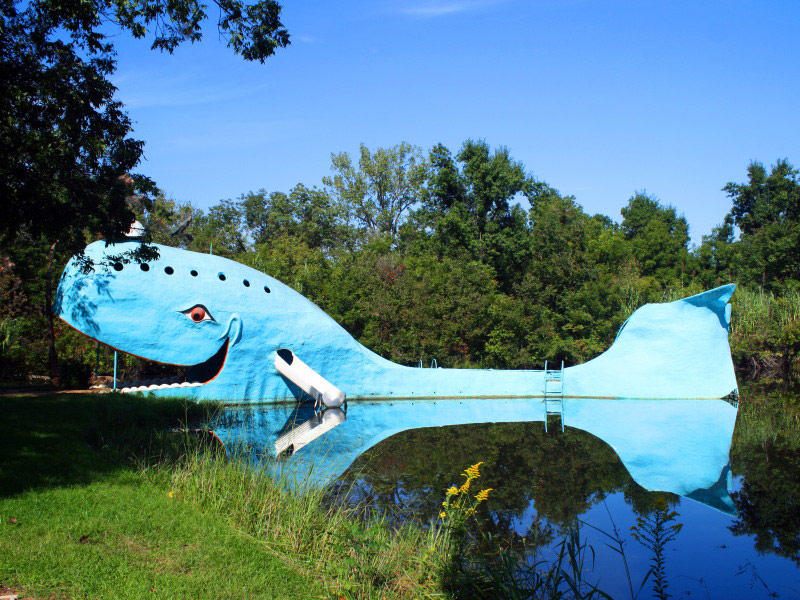 The Blue Whale