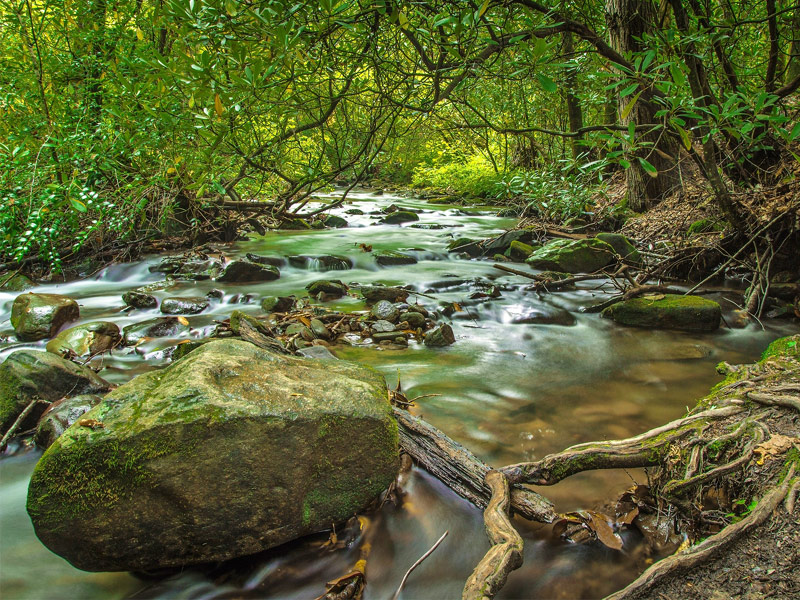 Great Smoky Mountain National Park 