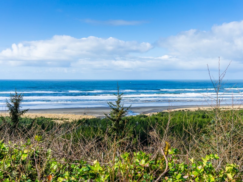 Long Beach, Washington