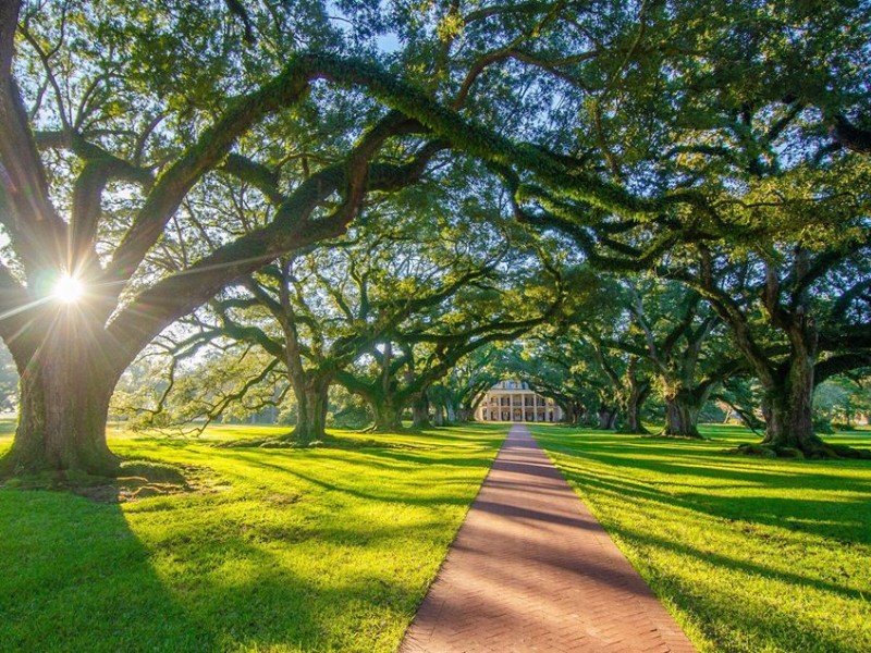 Oak Alley Plantation