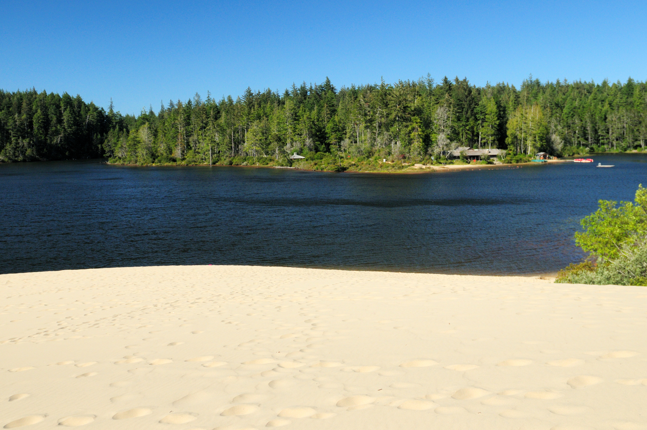 Sand dunes at Jessie M. Honeyman Memorial State Park