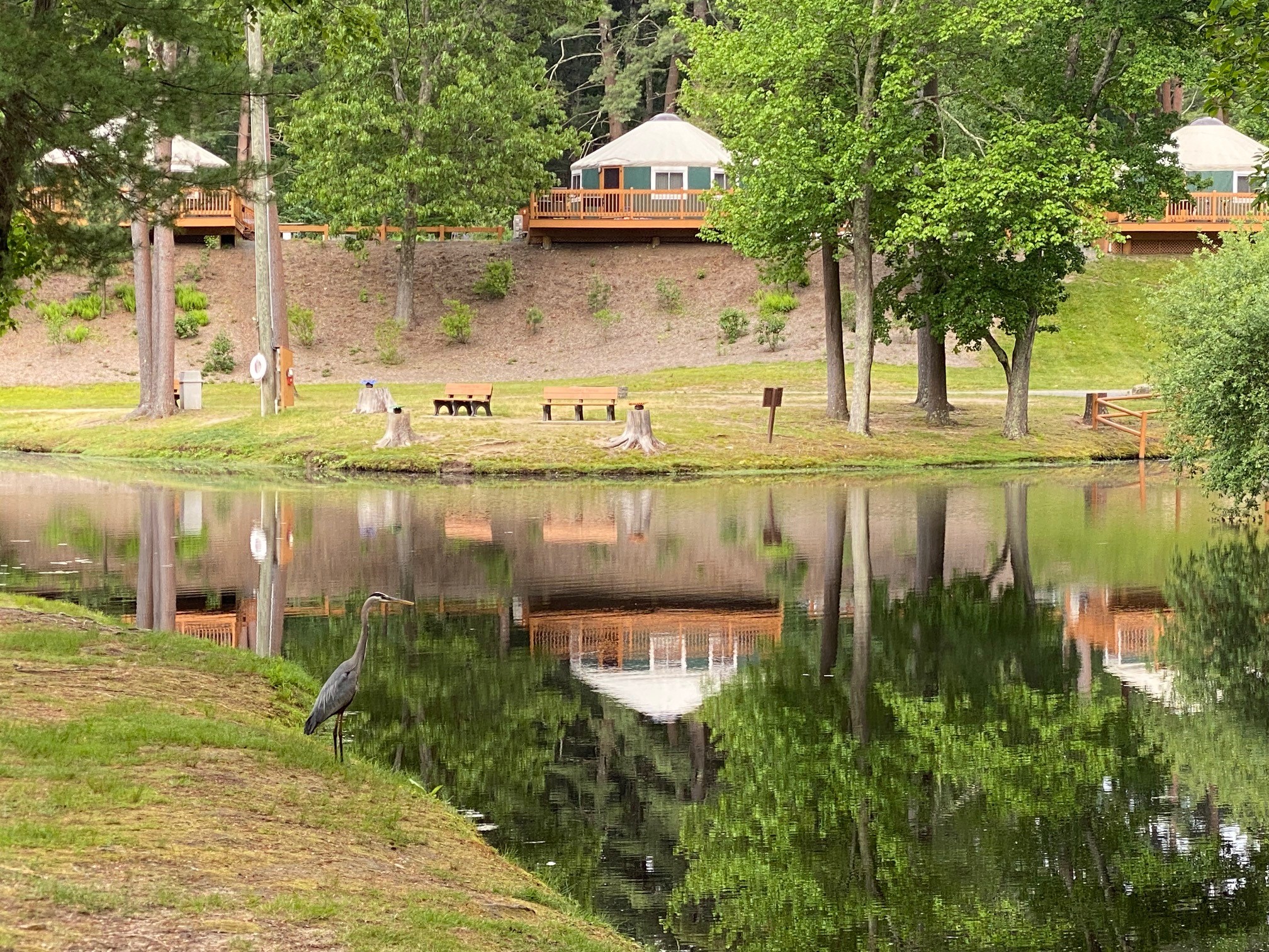 Normandy Farms Family Camping Resort