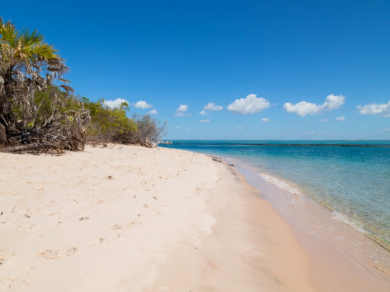 White sand beach in Mozambique.