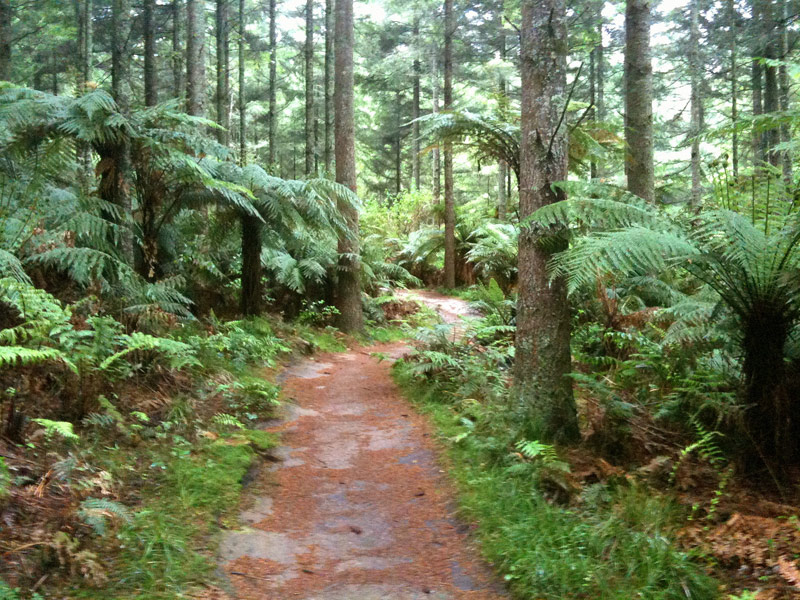 Rotorua, New Zealand 