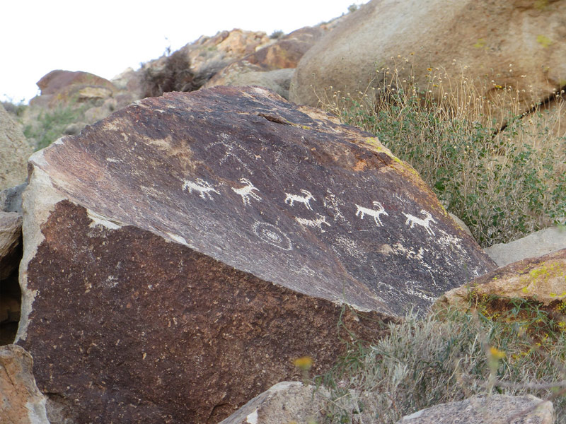 Six Thousand Year-Old Petroglyphs, Grapevine Canyon, Laughlin