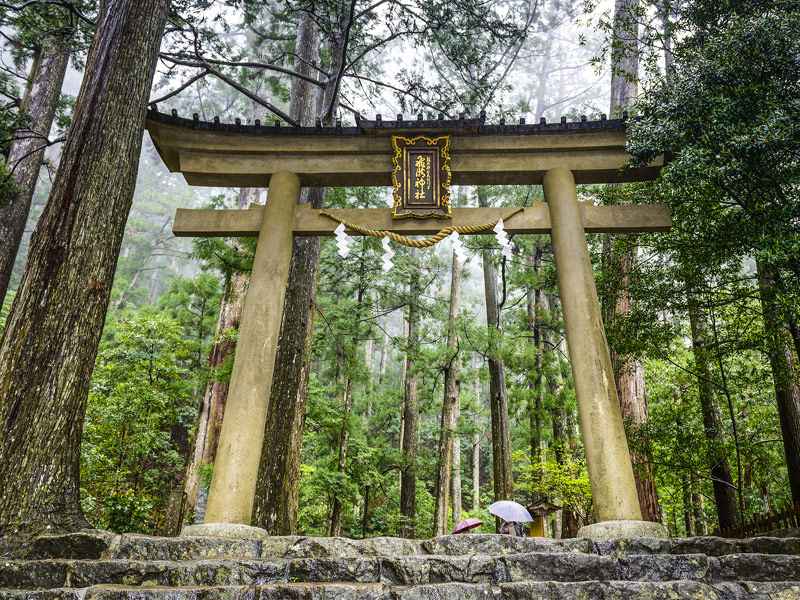 Kumano Ancient Trail, Japan