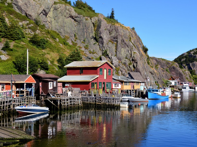 Quidi Vidi