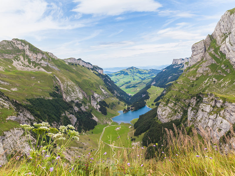 Swiss Alps