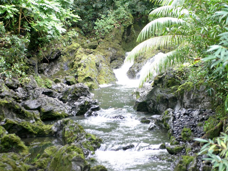 Makapipi Falls, Maui, Hawaii