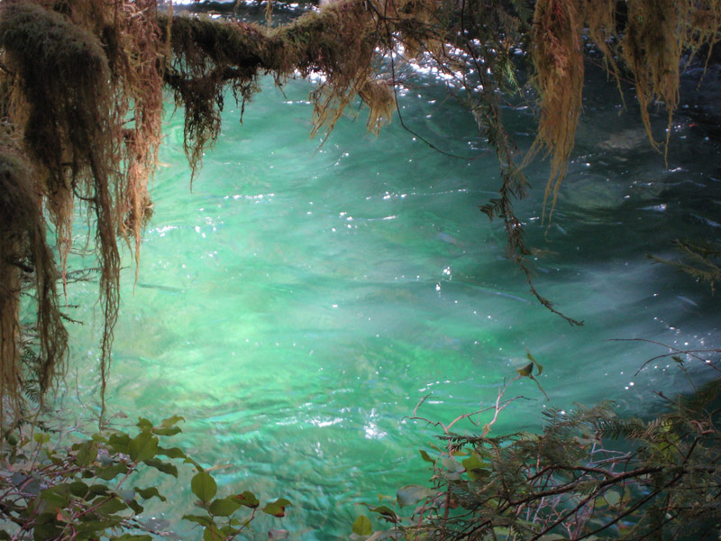  Opal Pool, Willamette National Forest, Oregon