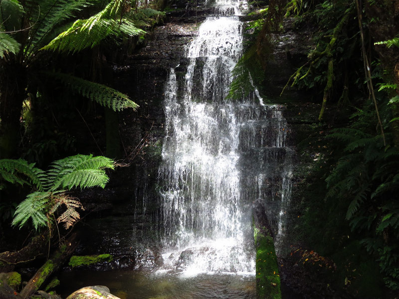 Mole Creek Karst National Park 