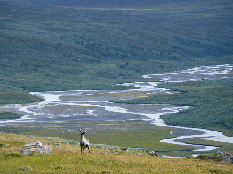 Sarek National Park, Sweden