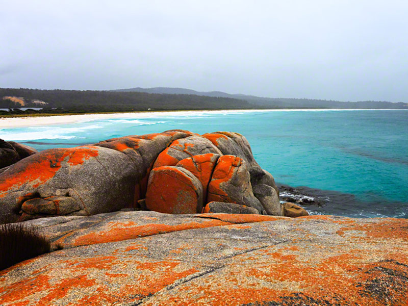 The Bay of Fires