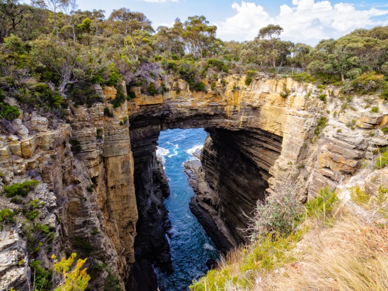 Tasman Arch