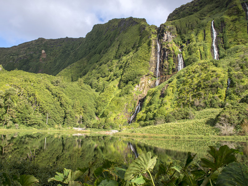 Flores Island