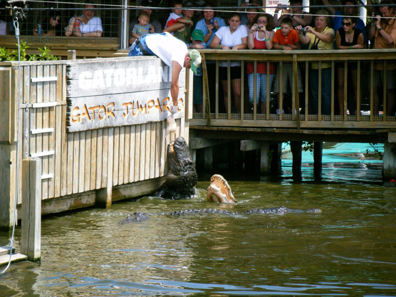 Gatorland, Orlando