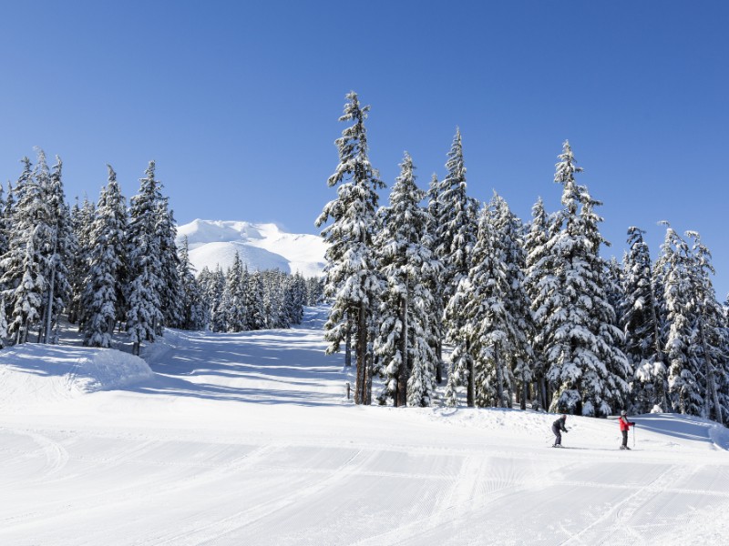 Mt Bachelor Ski Resort