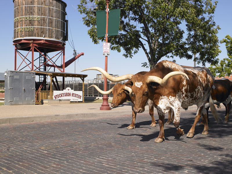 Fort Worth Stockyards