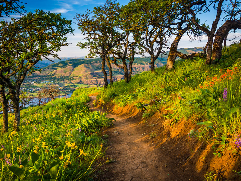 Columbia River Gorge