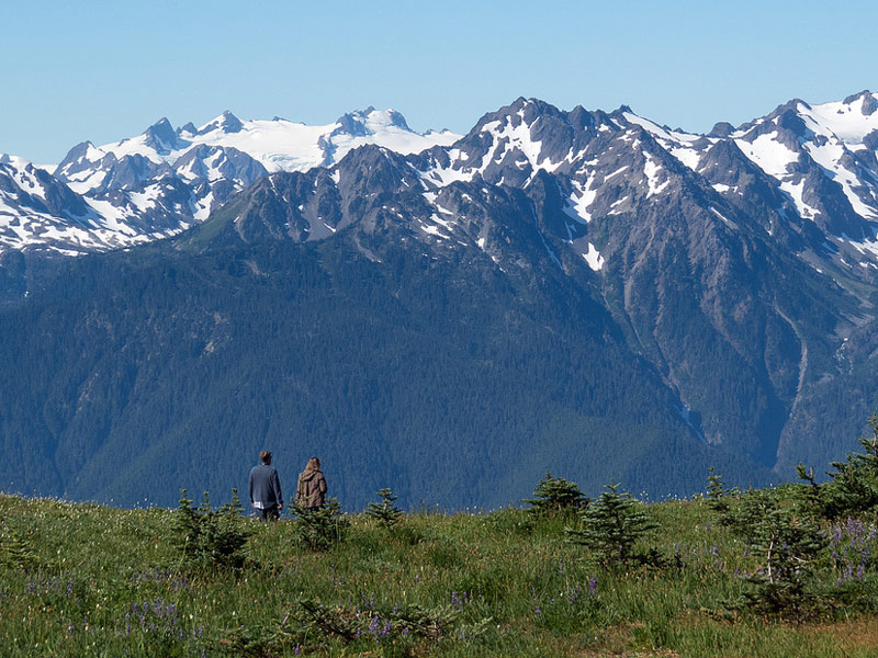 Hurricane Ridge, Olympic National Park
