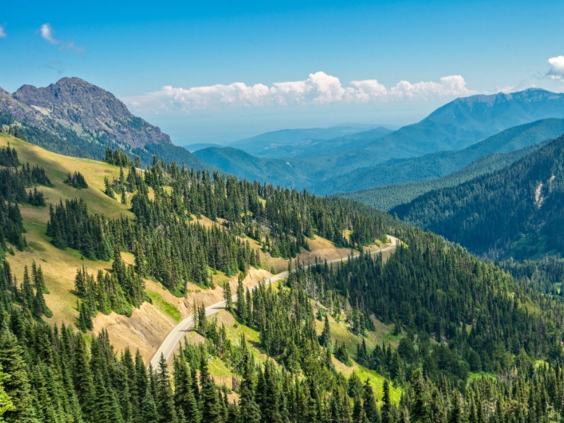 Hurricane Ridge, Olympic National Park